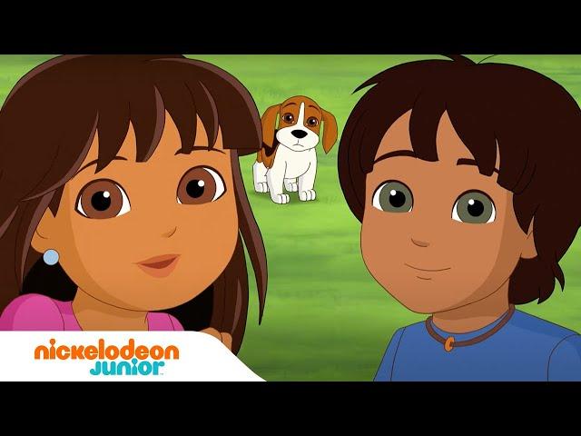 Dora & Friends | Marathon des aventures animales et féeriques de Dora et ses amis | Nickelodeon Jr.