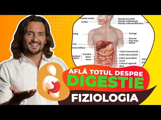 Digestia de la A la Z [Află cum funcționează!]