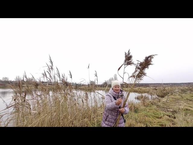 Всё интересно. Весёлая прогулка за материалами для поделок