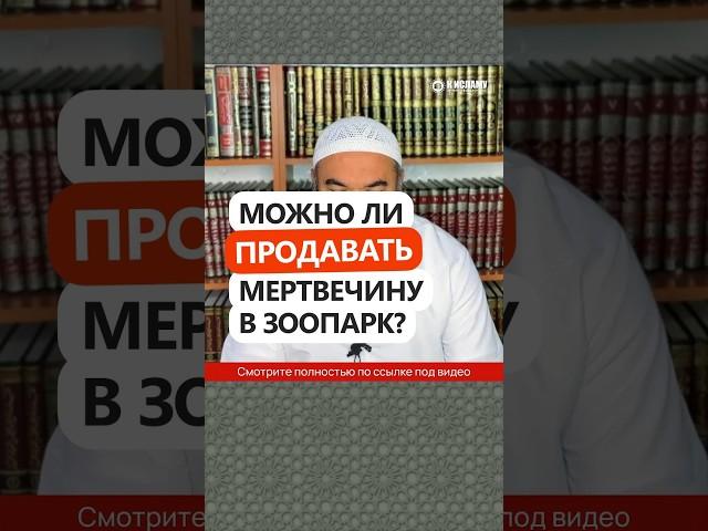 Можно ли продавать мертвечину в зоопарк? #Shorts Ринат Абу Мухаммад