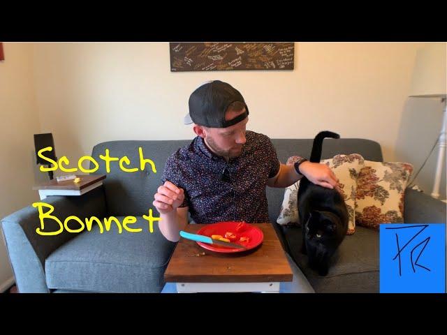 Yellow and Red Scotch Bonnet Pepper Review Featuring My Cat Pint!