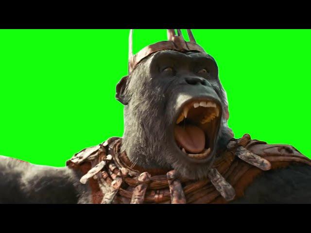 Green Screen "What a Wonderful Day" Meme I Kingdom of the Planet of the Apes Meme