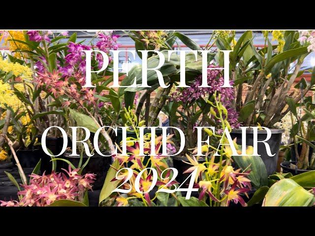 Perth Western Australia Orchid Fair: September 2024