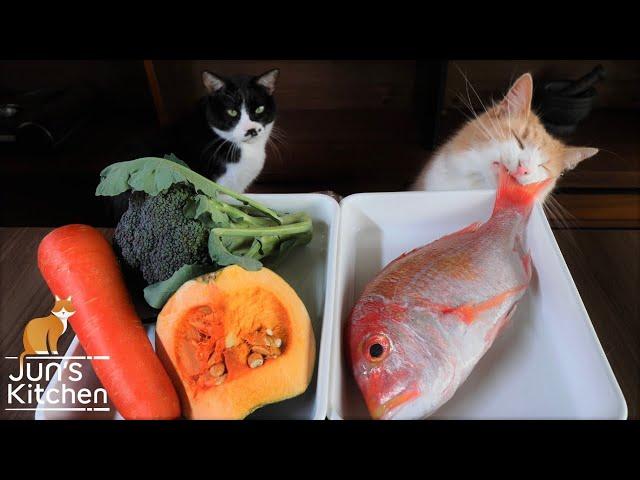 Homemade Cat Food (Fish Jelly Terrine)