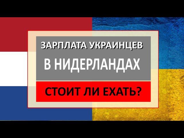 Зарплата в Нидерландах. Сколько получают украинцы в Голландии?