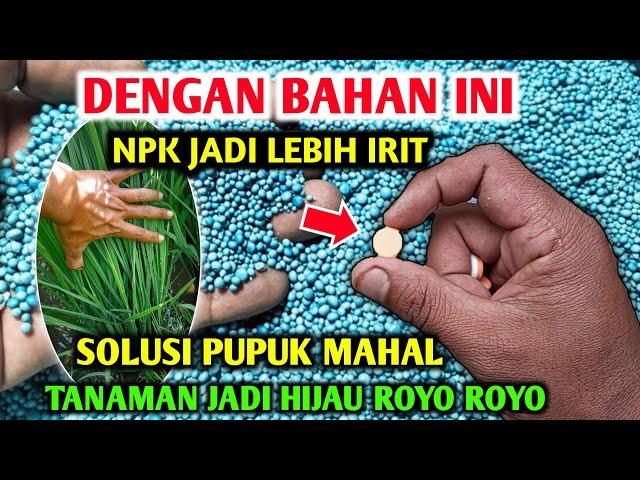 Terbukti MODAL Rp10.000 Pupuk NPK mutiara jadi Lebih Hemat