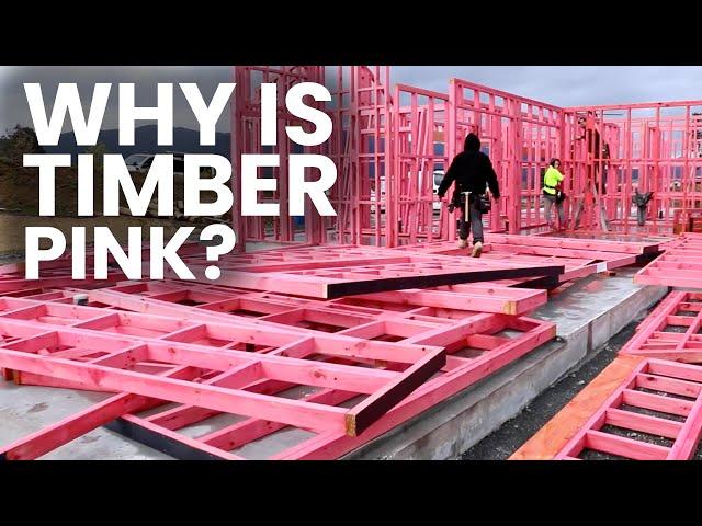 Why is New Zealand Timber Pink???