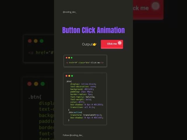 Button Click Animation using CSS