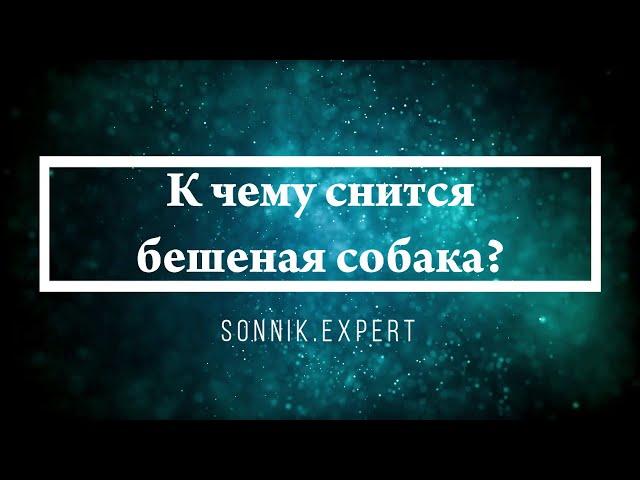 К чему снится бешеная собака - Онлайн Сонник Эксперт