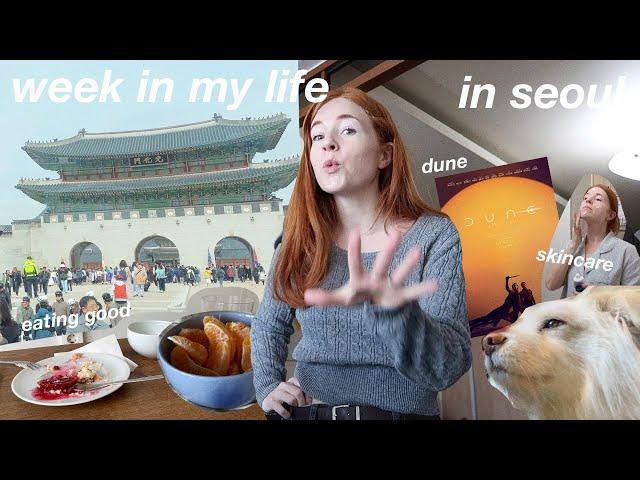 week in my life in seoul  trying to be an ambivert, new vlog camera, my apartment, book shopping