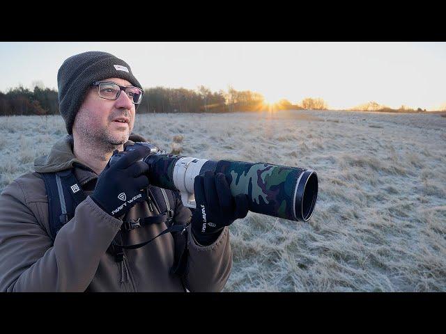 Bird Photography on a Frosted Nature Reserve - and Tips on Using the Frost