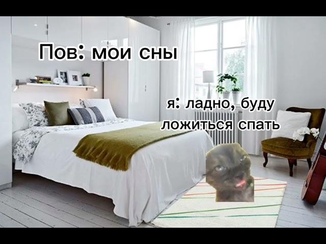 СБОРНИК ВИДЕО С МЕМНЫМИ КОТАМИ! 12 минут видео с мем котами!