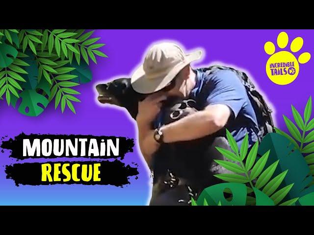 Mother-daughter duo rescue stranded pup on steep mountain   | INCREDIBLE TAILS