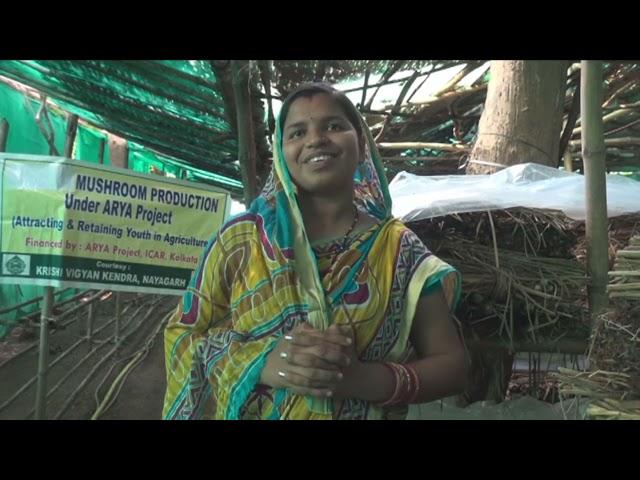 MUSHROOM PRODUCTION UNDER ARYA PROJECT, NAYAGARH