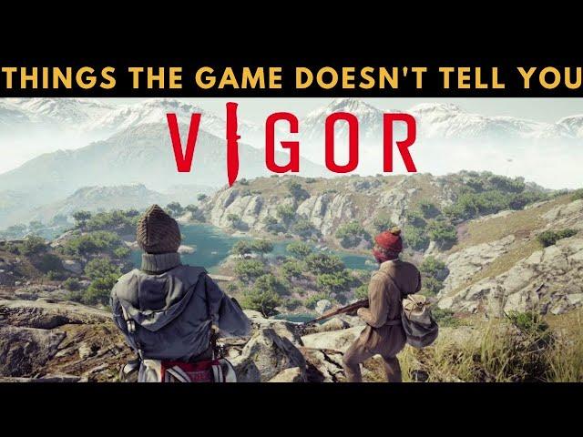 VIGOR - THINGS THE GAME DOESN'T TELL YOU