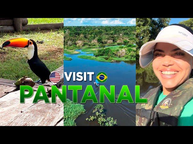 Best Safaris in Pantanal Brazil