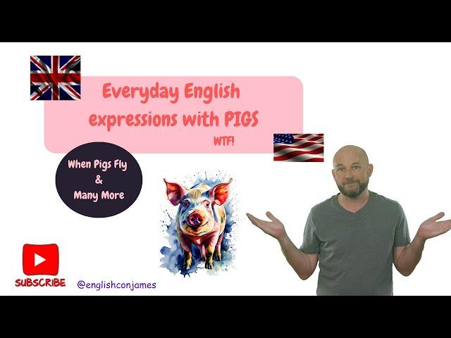 Commonly Used English Expressions with PIGS