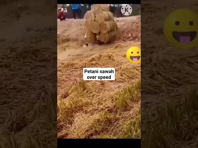 Virall!! Petani ngebut #viral #shorts