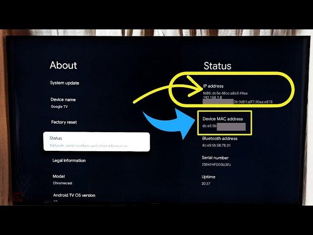 TCL Smart Google TV : How to Find IP Address and MAC Address | 2 Ways