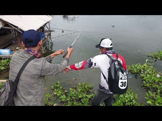 Panik ga...!! mancing pinggiran jatiluhur