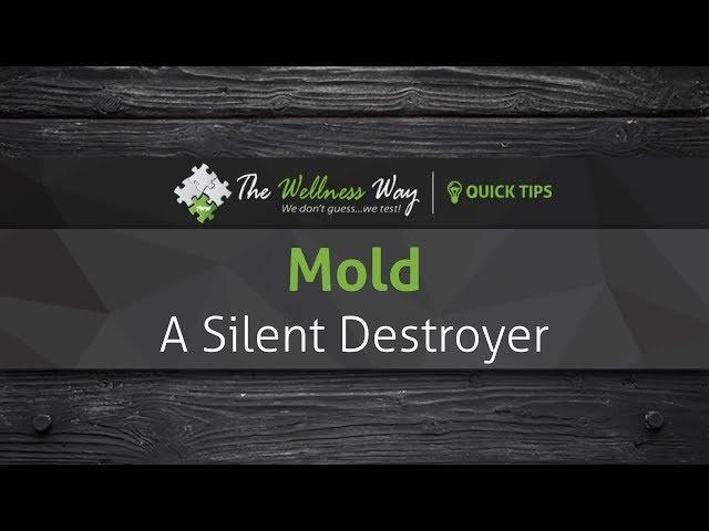 Mold | TWW Quick Tips