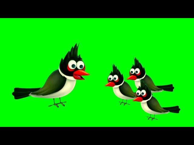 No Copyright Green Screen Cartoon Bird