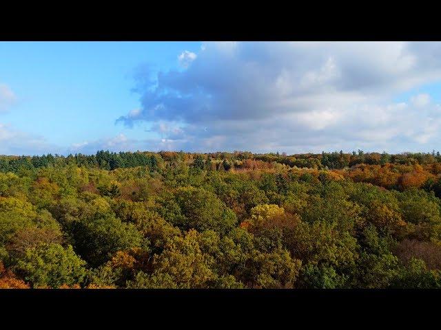 DJI MAVIC MINI - FOOTAGE - VIDEO SAMPLE @ 2,7K 30 FPS