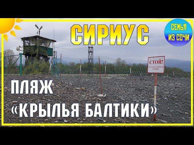 СИРИУС: ДИКИЙ ПЛЯЖ "КРЫЛЬЯ БАЛТИКИ" | Субтропический рай в отдельно взятом городе