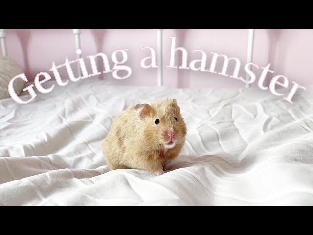 GETTING A SYRIAN HAMSTER | VLOG 