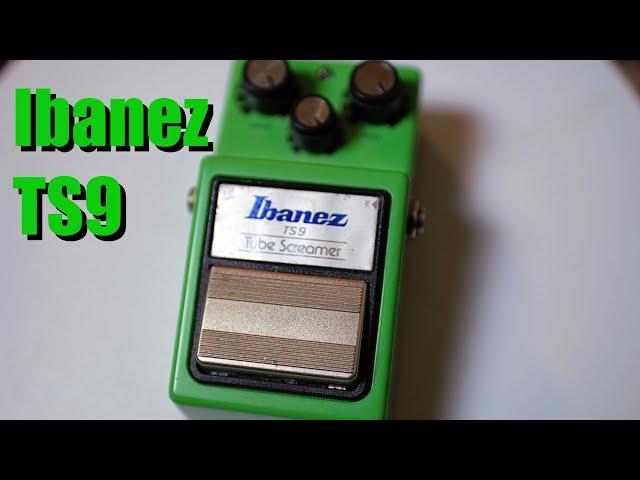 Ibanez TS9 Tube Screamer (How Good Is It?)