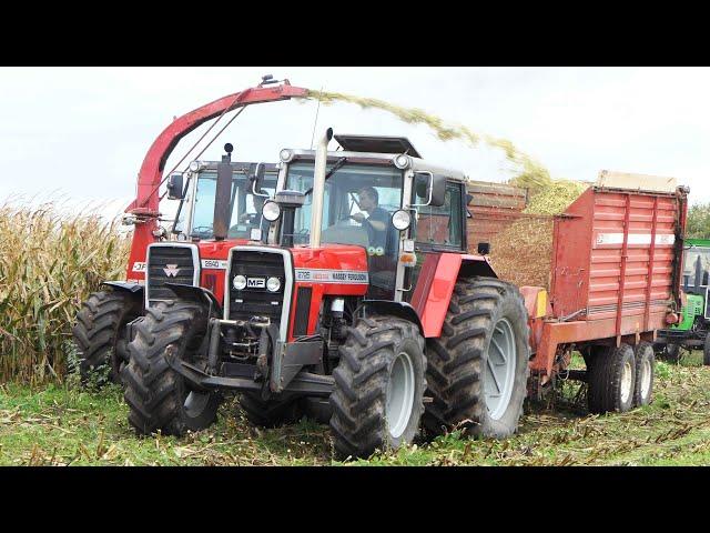 Mais Silage 2023 | Massey Ferguson 2640 & 2725 Chopping Corn