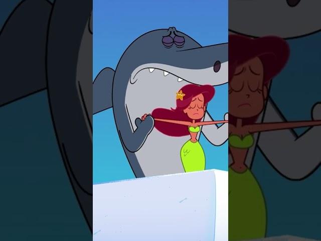 #Shorts  Zig & Sharko -  OH, SHARKO, IT'S YOU 