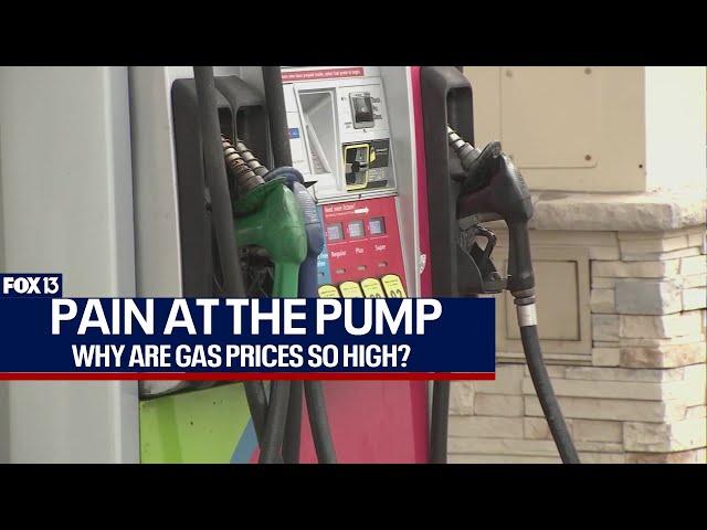 Why are gas prices so high in Florida?