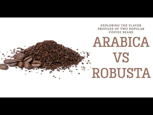 Arabica vs Robusta Coffee Beans: Unmasking the Taste Difference