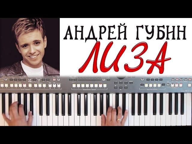 АНДРЕЙ ГУБИН ЛИЗА YAMAHA DJX COVER