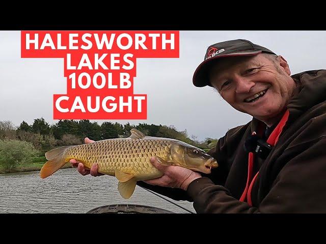 Pole Fishing Halesworth Lakes,  #JamesAtkinsFishing