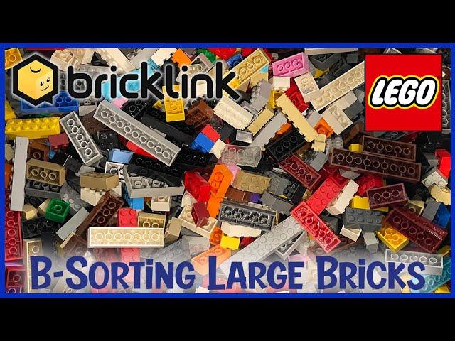 B-SORTING LARGE BRICKS!!! | LIVE!