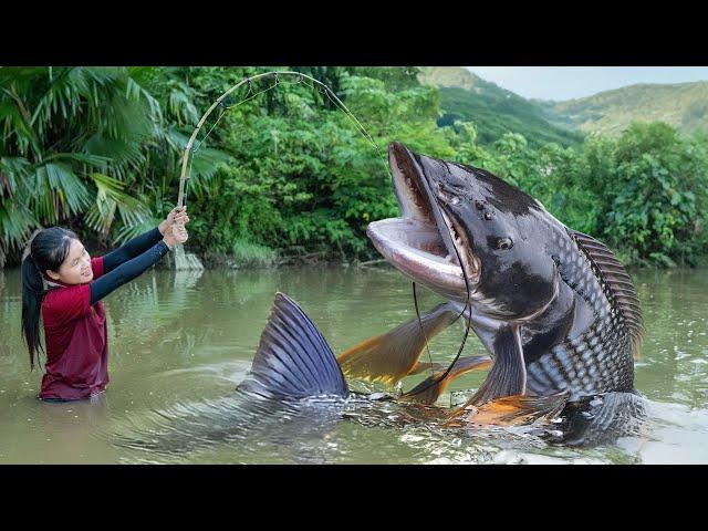 Harvesting Anabas Fish Goes to market sell - How to Cook Fish | Ly Thi Ngoc