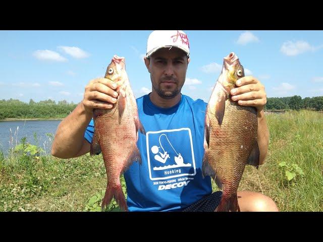 I knew that there would be a bream. Bream biting in July on the feeder.