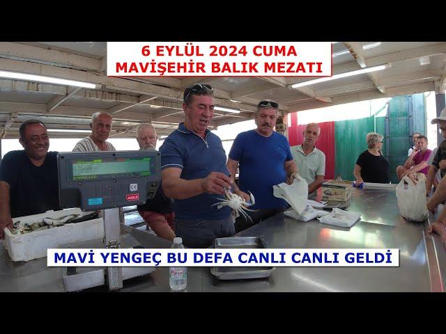 6 EYLÜL CUMA. MAVİŞEHİR MEZATA YİNE BİR MAVİ YENGEÇ GELDİ. BU DEFA CANLI CANLI.