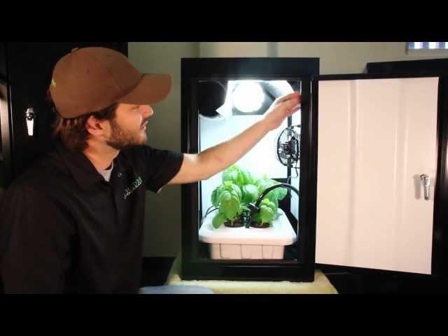 Hydroponic Grow Box works best! Growing kit by Supercloset