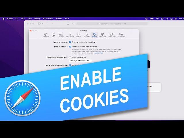 How to Enable Cookies in Safari on Mac, iPhone or iPad