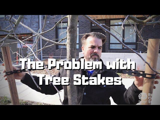 The Problem with Tree Stakes