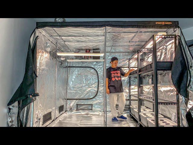 EP15: Basement 8x8 grow tent garden setup