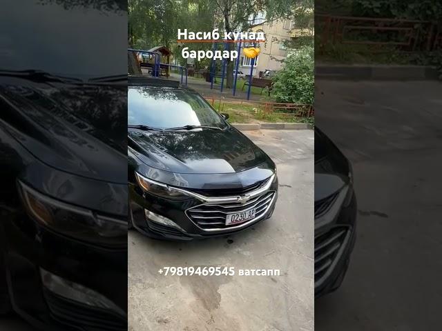 хамкори солим бо AUTO PODBOR TJ подбор️достака️Растаможка ️