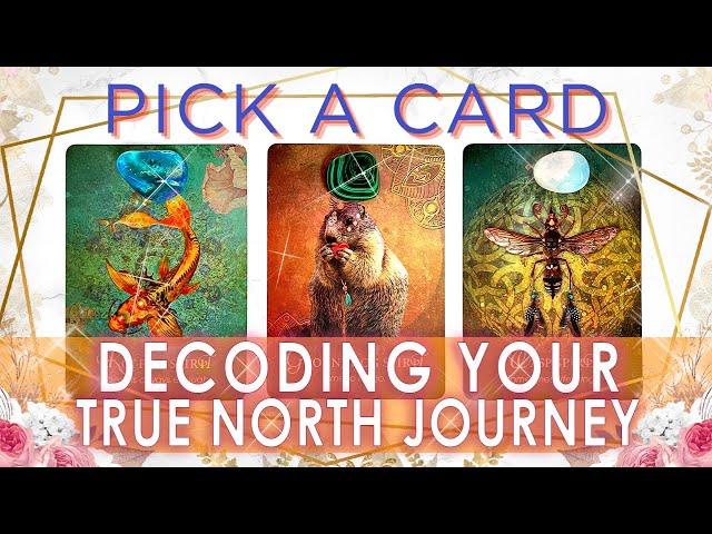 THE PATH TO YOUR TRUE NORTH REVEALED  YOUR DIVINE COMPASS & NAVIGATION CODES  PICK A CARD
