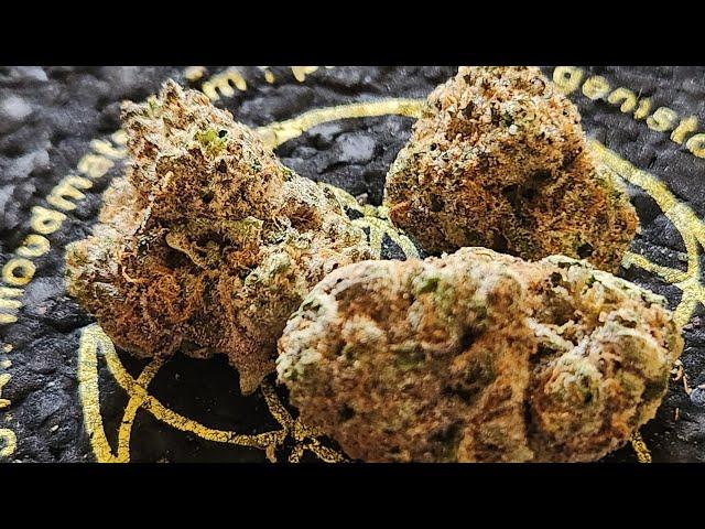 Strain Review: Dragonfly Jones