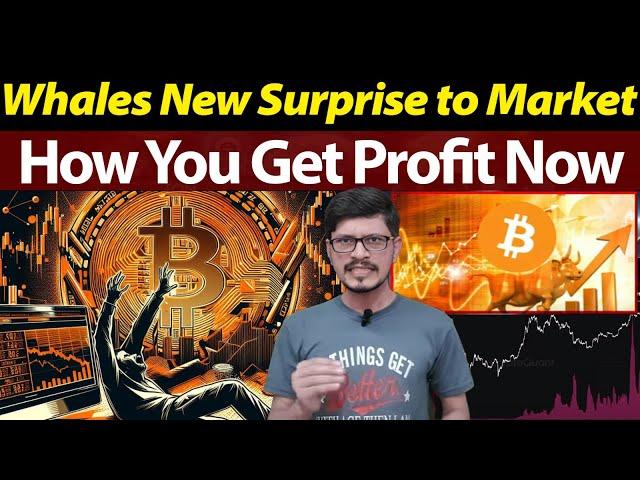 Whales New Surprise to Market l How You Get Profit Now l Crypto Baba