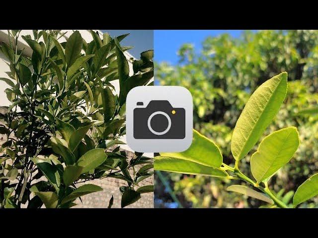 Mastering Android Camera Quality: Easy Tips for Any Android Device