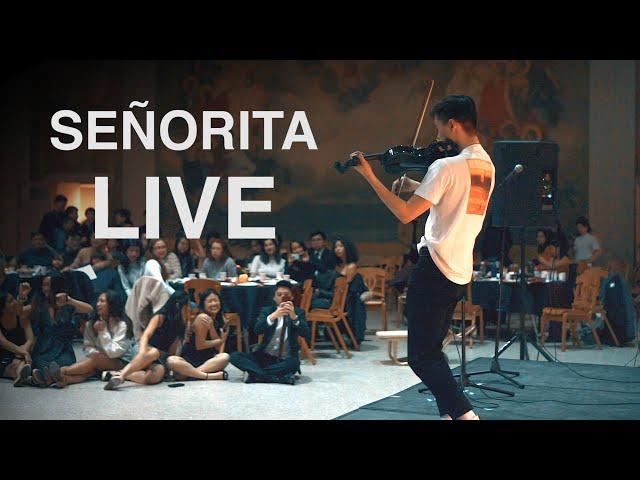 "SEÑORITA" - LIVE VIOLIN PERFORMANCE